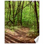 Peaceful Green Forest Walk Canvas 11  x 14 