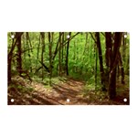 Peaceful Green Forest Walk Banner and Sign 5  x 3 