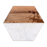 Cosmic Owls Pattern Marble Wood Coaster (Hexagon) 