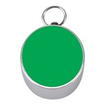 A Green Background With A White Border Mini Silver Compasses