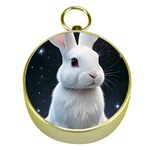 White bunny Gold Compasses