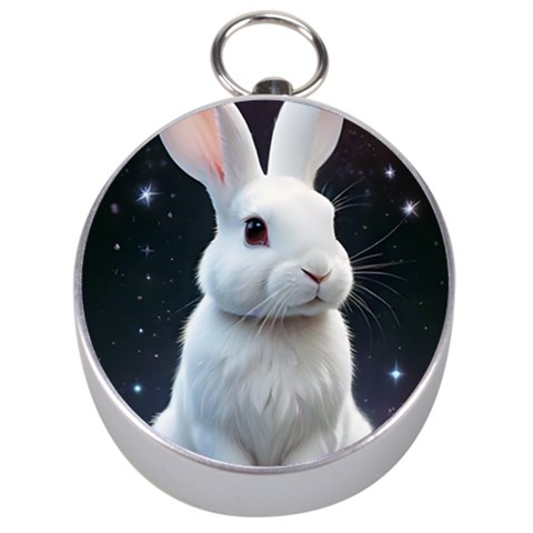 White bunny Silver Compasses from ArtsNow.com Front