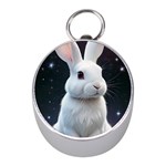 White bunny Mini Silver Compasses