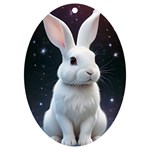 White bunny UV Print Acrylic Ornament Oval