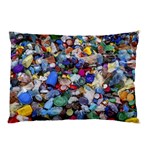 Trash to Treasure (AI) Pillow Case (Two Sides)