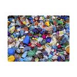 Trash to Treasure (AI) Premium Plush Fleece Blanket (Mini)