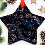 Rocky Lake Reflection  Ornament (Star)