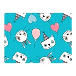 Birtay Cats Bunnies, Koteto Two Sides Premium Plush Fleece Blanket (Mini)