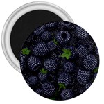 Blackberry Fruit, Fruit 3  Magnets