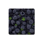 Blackberry Fruit, Fruit Square Magnet