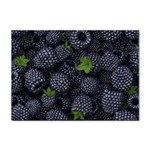 Blackberry Fruit, Fruit Sticker A4 (10 pack)