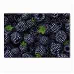 Blackberry Fruit, Fruit Postcard 4 x 6  (Pkg of 10)