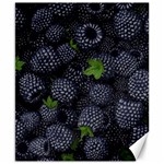 Blackberry Fruit, Fruit Canvas 8  x 10 