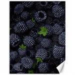 Blackberry Fruit, Fruit Canvas 12  x 16 