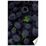 Blackberry Fruit, Fruit Canvas 12  x 18 