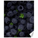 Blackberry Fruit, Fruit Canvas 16  x 20 