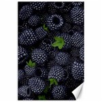 Blackberry Fruit, Fruit Canvas 24  x 36 