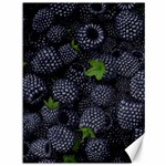 Blackberry Fruit, Fruit Canvas 36  x 48 