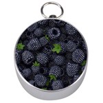 Blackberry Fruit, Fruit Silver Compasses