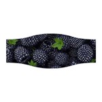 Blackberry Fruit, Fruit Stretchable Headband