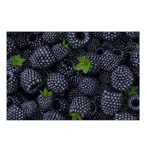 Blackberry Fruit, Fruit Belt Pouch Bag (Large) from ArtsNow.com Loop