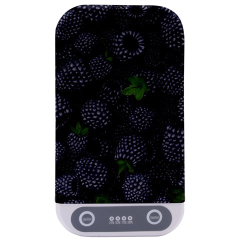 Blackberry Fruit, Fruit Sterilizers from ArtsNow.com Front