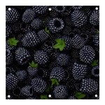 Blackberry Fruit, Fruit Banner and Sign 3  x 3 