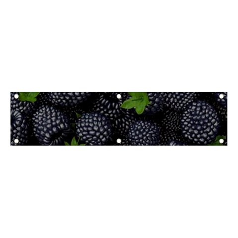 Blackberry Fruit, Fruit Banner and Sign 4  x 1  from ArtsNow.com Front