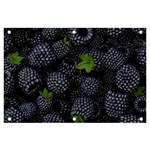 Blackberry Fruit, Fruit Banner and Sign 6  x 4 