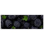 Blackberry Fruit, Fruit Banner and Sign 9  x 3 