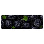 Blackberry Fruit, Fruit Banner and Sign 12  x 4 