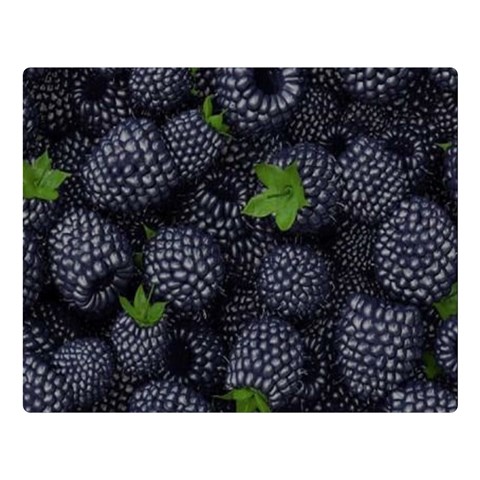 Blackberry Fruit, Fruit Premium Plush Fleece Blanket (Large) from ArtsNow.com 80 x60  Blanket Front