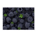 Blackberry Fruit, Fruit Crystal Sticker (A4)