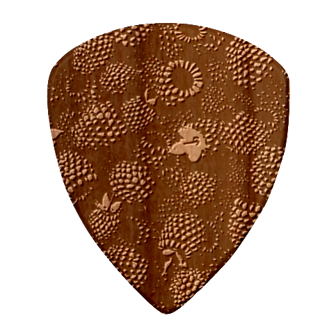 Blackberry Fruit, Fruit Wood Guitar Pick (Set of 10) from ArtsNow.com Front