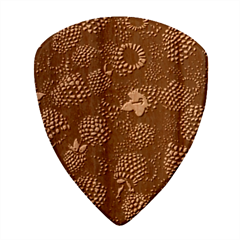 Blackberry Fruit, Fruit Wood Guitar Pick (Set of 10) from ArtsNow.com Front