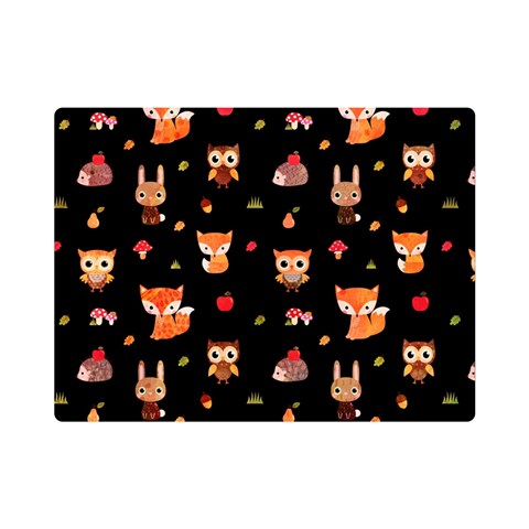 Cool Woodland Animal, Koteto, Scandinavian, Acorn Premium Plush Fleece Blanket (Mini) from ArtsNow.com 35 x27  Blanket Front