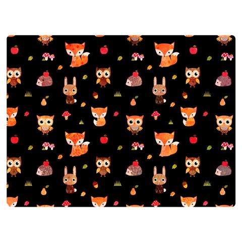 Cool Woodland Animal, Koteto, Scandinavian, Acorn Two Sides Premium Plush Fleece Blanket (Baby Size) from ArtsNow.com 40 x30  Blanket Front