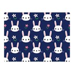 Cute Bunny Pattern, Easter, Koteto Two Sides Premium Plush Fleece Blanket (Mini)