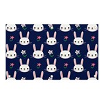 Cute Bunny Pattern, Easter, Koteto Banner and Sign 5  x 3 