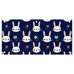 Cute Bunny Pattern, Easter, Koteto Banner and Sign 6  x 3 