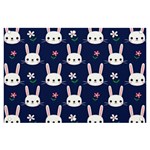 Cute Bunny Pattern, Easter, Koteto Banner and Sign 6  x 4 