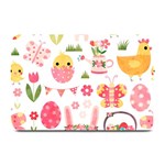 Cute Easter Bunny, Koteto, Animal, Baby Plate Mats