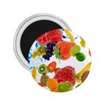 Fruits, Drip, Fruit, Paint, Spring 2.25  Magnets