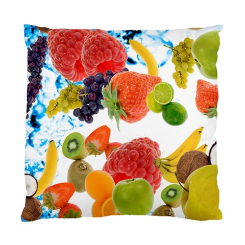 Fruits, Drip, Fruit, Paint, Spring Standard Cushion Case (One Side) from ArtsNow.com Front