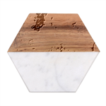 Fruits, Drip, Fruit, Paint, Spring Marble Wood Coaster (Hexagon) 