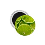 Lime Slices Close Up, Fresh, Fruit, Green Lemon 1.75  Magnets