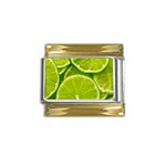 Lime Slices Close Up, Fresh, Fruit, Green Lemon Gold Trim Italian Charm (9mm)