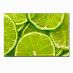 Lime Slices Close Up, Fresh, Fruit, Green Lemon Postcard 4 x 6  (Pkg of 10)