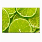 Lime Slices Close Up, Fresh, Fruit, Green Lemon Postcards 5  x 7  (Pkg of 10)