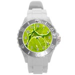 Lime Slices Close Up, Fresh, Fruit, Green Lemon Round Plastic Sport Watch (L)